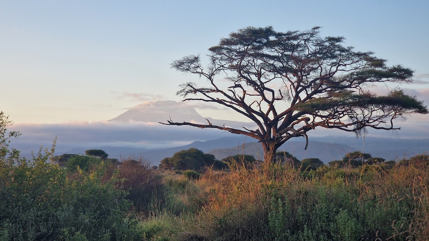 Enduimet Wildlife Management Area 2