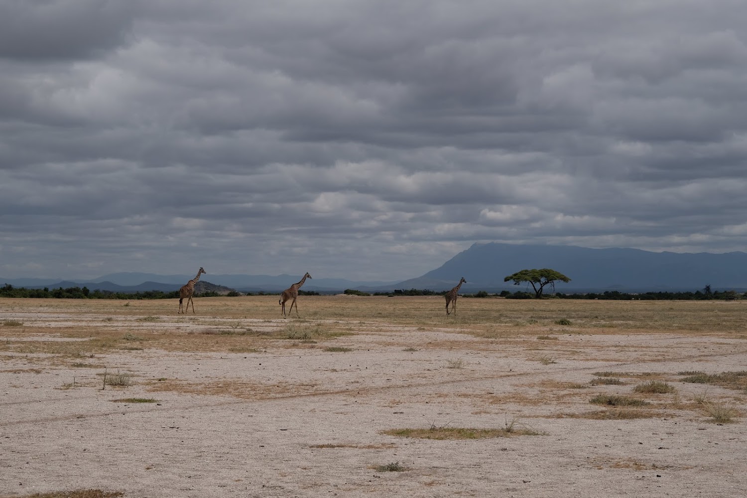 Enduimet Wildlife Management Area 3