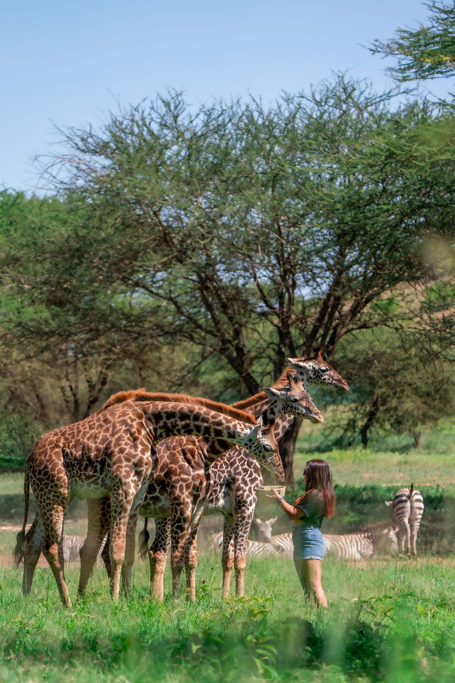 Serval Wildlife Sanctuary